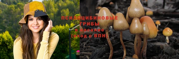 мет Михайловск