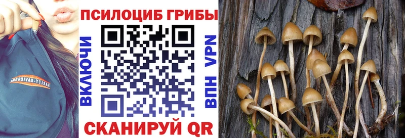 Псилоцибиновые грибы GOLDEN TEACHER  площадка какой сайт  Янаул 