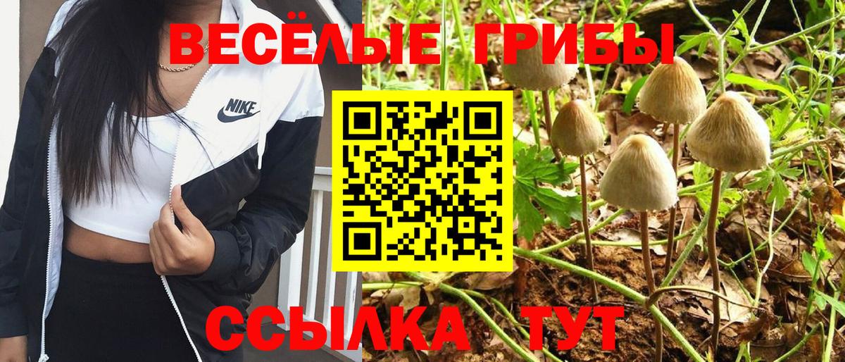 Галлюциногенные грибы MAGIC MUSHROOMS  Псилоцибиновые грибы Magic Shrooms  Янаул  Вход с VPN 
