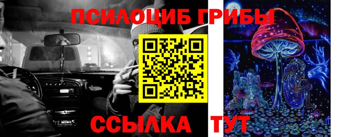 Псилоцибиновые грибы Psilocybe Янаул